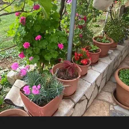 Pensión Casa Ilias *